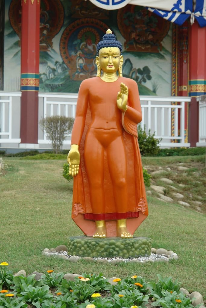 dsc00011_1_jpg.jpg